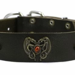 Dragon Eye - Leather Collar