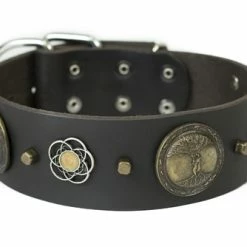 Gaia - Leather Collar
