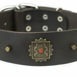 Mars - Leather Collar