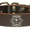 The Pirate - Leather Collar -Collars Sales Shop DTCP101 2