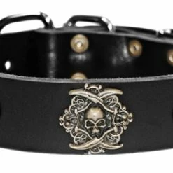 The Pirate - Leather Collar -Collars Sales Shop DTCP101 4