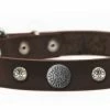 Crystal Beauty - Leather Collar -Collars Sales Shop DTCrystal Beauty 2