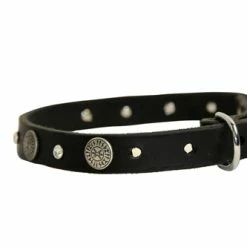 Crystal Beauty - Leather Collar -Collars Sales Shop DTCrystal Beauty 5