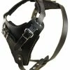 The Boss - Leather Harness