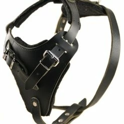 The Boss - Leather Harness