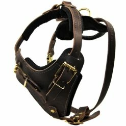 The Boss - Leather Harness -Collars Sales Shop DTH1 6