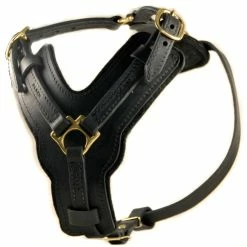 The Victory - Leather Harness
