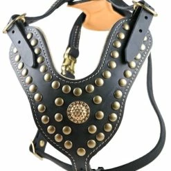 The Viking - Leather Harness