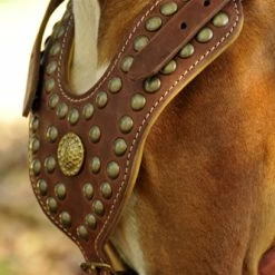 The Viking - Leather Harness 11 The Viking - Leather Harness -Collars Sales Shop DTH11 6