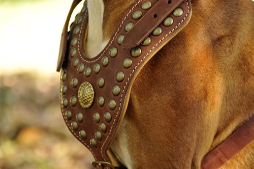 The Viking - Leather Harness 7 The Viking - Leather Harness - Image 5