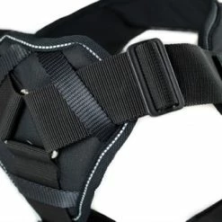DT Fun Patch Harness With Chest Support -Collars Sales Shop DTH12V 6