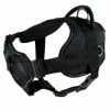 DT Harness With Chest Support -Collars Sales Shop DTH12 CLR 2T