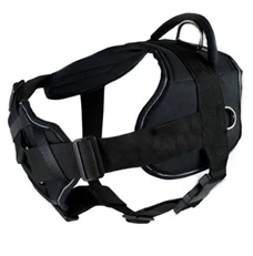 DT Harness With Chest Support