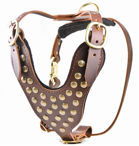 Stud Warrior - Leather Harness 3 Stud Warrior - Leather Harness