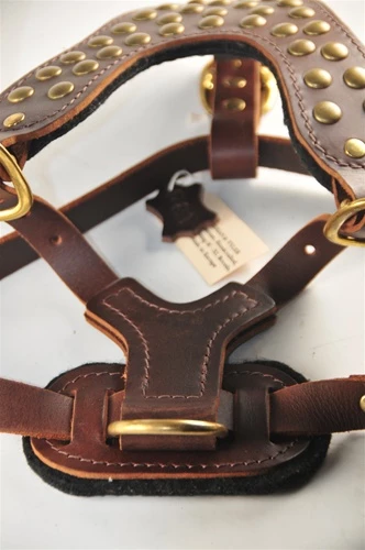 Stud Warrior - Leather Harness 4 Stud Warrior - Leather Harness - Image 2