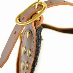 Stud Warrior - Leather Harness 9 Stud Warrior - Leather Harness -Collars Sales Shop DTH15 4