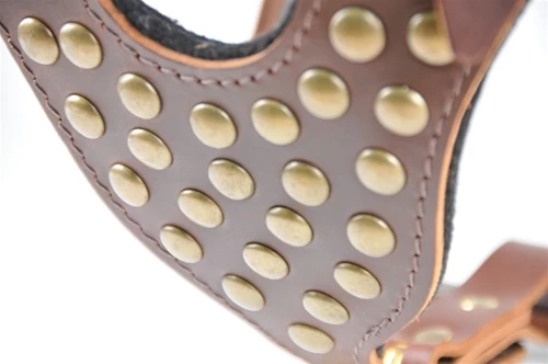 Stud Warrior - Leather Harness 6 Stud Warrior - Leather Harness - Image 4