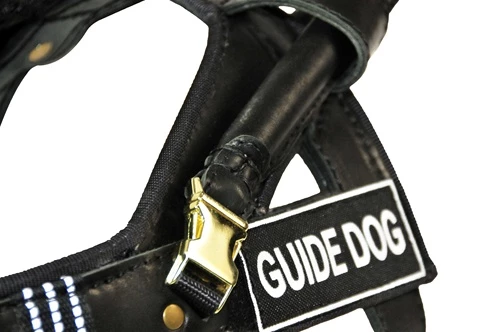 DT Guide - Guide Dog Harness 4 DT Guide - Guide Dog Harness - Image 2