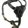 Classic Knight - Leather Harness