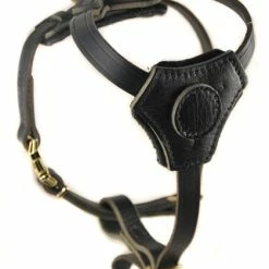 Classic Knight - Leather Harness