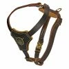 Royal Classic Knight - Leather Harness -Collars Sales Shop DTH2Royal 2