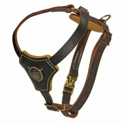 Royal Classic Knight - Leather Harness