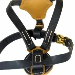 Royal Classic Knight - Leather Harness -Collars Sales Shop DTH2Royal 5