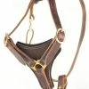 Dean's Choice - Leather Harness