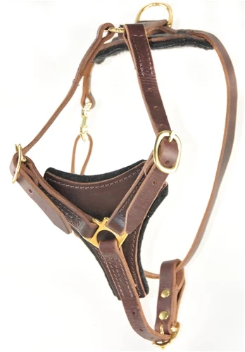 Dean's Choice - Leather Harness 3 Dean's Choice - Leather Harness