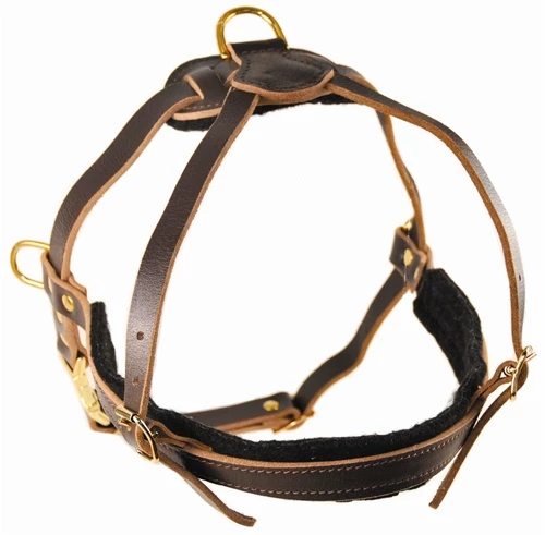 The Cowboy - Leather Harness 3 The Cowboy - Leather Harness