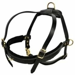 The Cowboy No Pull - Leather Harness