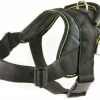 DT Harness