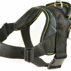 DT Harness