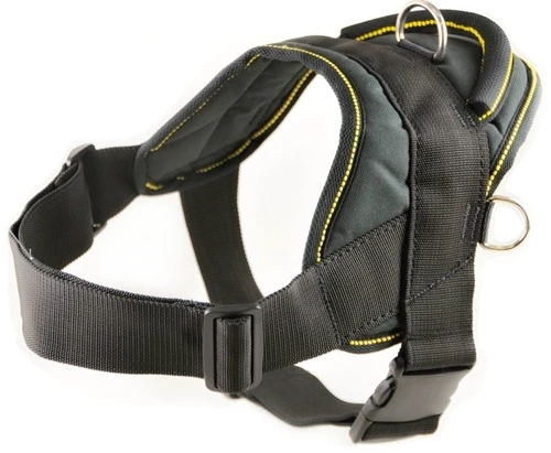 DT Harness 3 DT Harness