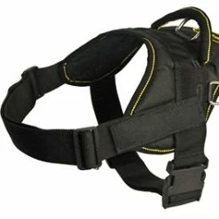 DT Fun - Patch Harness - Yellow Trim