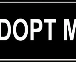 Collars Sales Shop -Collars Sales Shop DTH6Patches 3