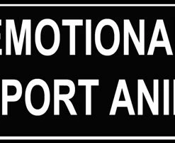 Pair Of Fun Pet Patches -Collars Sales Shop DTH6Patches 4