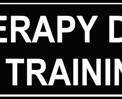 Pair Of Fun Pet Patches -Collars Sales Shop DTH6Patches 5