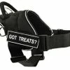 DT Fun - Patch Harness -Collars Sales Shop DTH6RFun 2