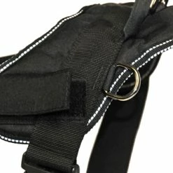 DT Fun - Patch Harness 7 DT Fun - Patch Harness -Collars Sales Shop DTH6RFun 4