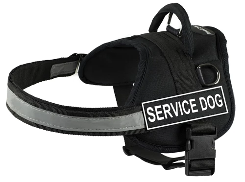 DT Works - Patch Dog Harness 3 DT Works - Patch Dog Harness