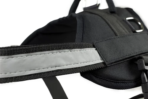 DT Works - Patch Dog Harness 4 DT Works - Patch Dog Harness - Image 2