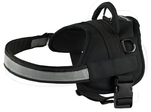 DT Works - Patch Dog Harness 6 DT Works - Patch Dog Harness - Image 4