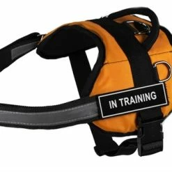 DT Works - Patch Dog Harness 12 DT Works - Patch Dog Harness -Collars Sales Shop DTH6plus 6