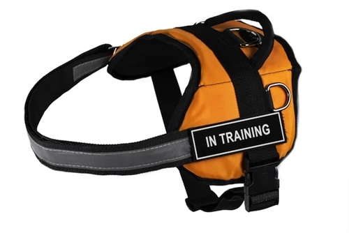 DT Works - Patch Dog Harness 7 DT Works - Patch Dog Harness - Image 5