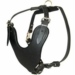 D&T Leather Basic Harness
