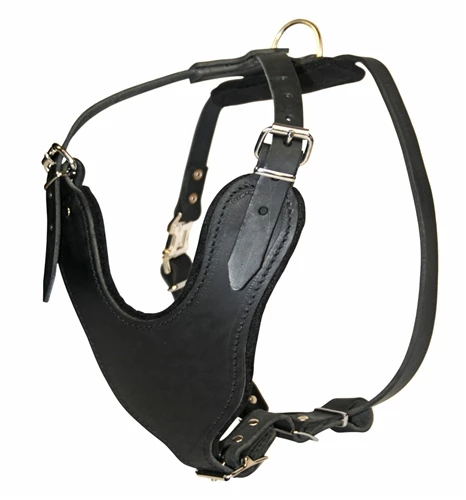 D&T Leather Basic Harness 3 D&T Leather Basic Harness