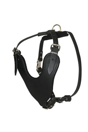 D&T Leather Basic Harness 4 D&T Leather Basic Harness - Image 2