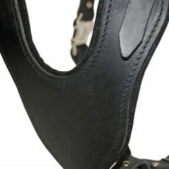 D&T Leather Basic Harness 10 D&T Leather Basic Harness -Collars Sales Shop DTH8B 4