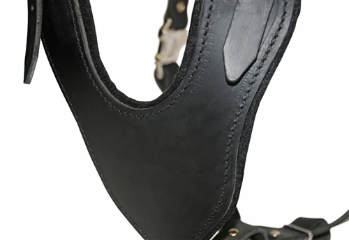 D&T Leather Basic Harness 5 D&T Leather Basic Harness - Image 3